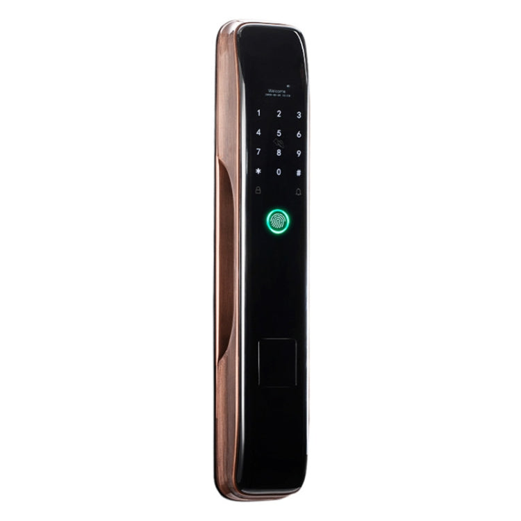 Blocco porta elettronico WiFi con impronta digitale e password