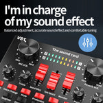 Scheda audio V8S con microfono BM700 per registrazione