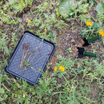 Vassoio per scarpe multifunzione in plastica da 3 pezzi Vassoio per alimentazione animali domestici, Pet Feeding Tray