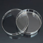 Piastre di Petri sterili in polistirolo da 10 pezzi Piastre per batteri Forniture per laboratorio medico biologico scientifico, 55mm, 60mm, 70mm, 90mm, 100mm, 150mm