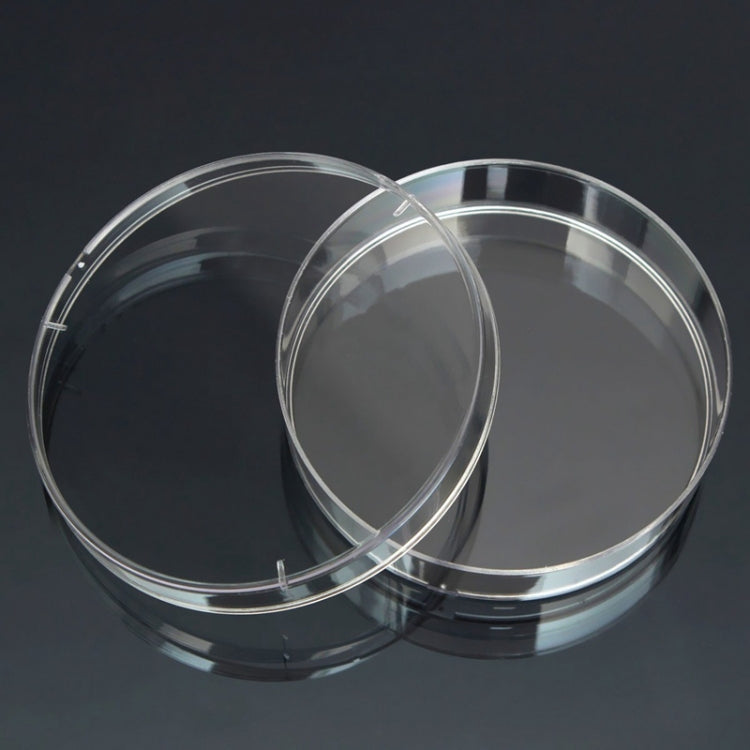 Piastre di Petri sterili in polistirolo da 10 pezzi Piastre per batteri Forniture per laboratorio medico biologico scientifico, 55mm, 60mm, 70mm, 90mm, 100mm, 150mm