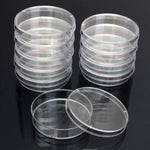 Piastre di Petri sterili in polistirolo da 10 pezzi Piastre per batteri Forniture per laboratorio medico biologico scientifico, 55mm, 60mm, 70mm, 90mm, 100mm, 150mm