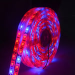 5m 300 LED SMD 5050 Striscia LED a spettro completo Fitolampy Luci progressive per piante idroponiche in serra, Non Waterproof, Waterproof