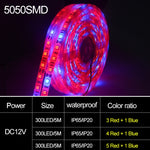 5m 300 LED SMD 5050 Striscia LED a spettro completo Fitolampy Luci progressive per piante idroponiche in serra, Non Waterproof, Waterproof