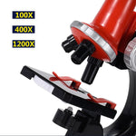 Microscopio giocattolo 1200x con luce LED per bambini