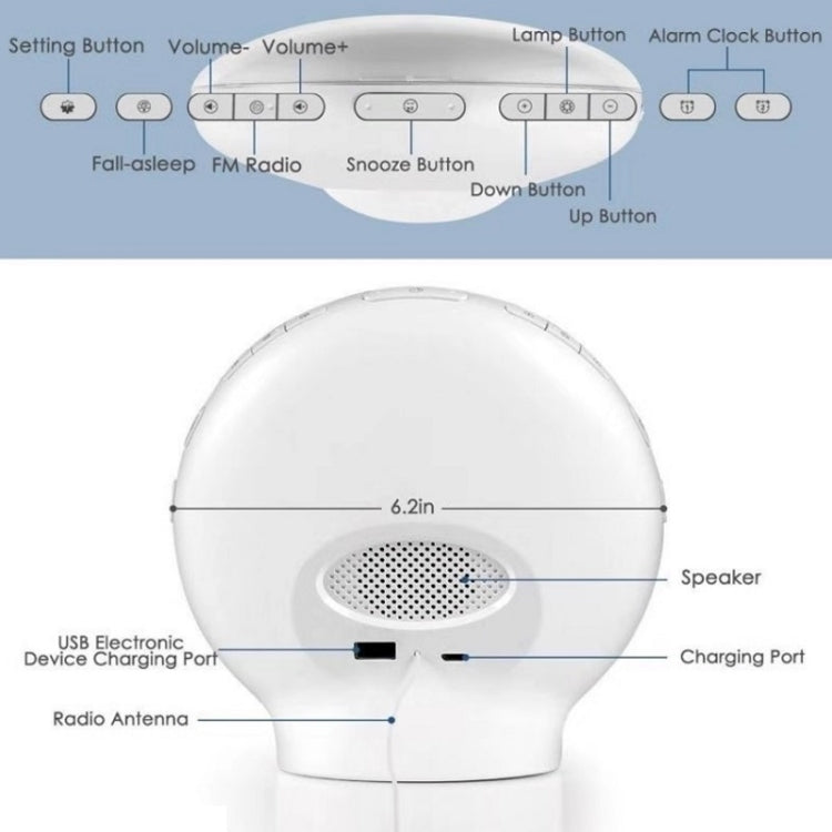 Sveglia elettronica ad attivazione vocale Alexa Sveglia all'alba Luce notturna Supporto Controllo APP intelligente,, EU Plug, US Plug, UK Plug