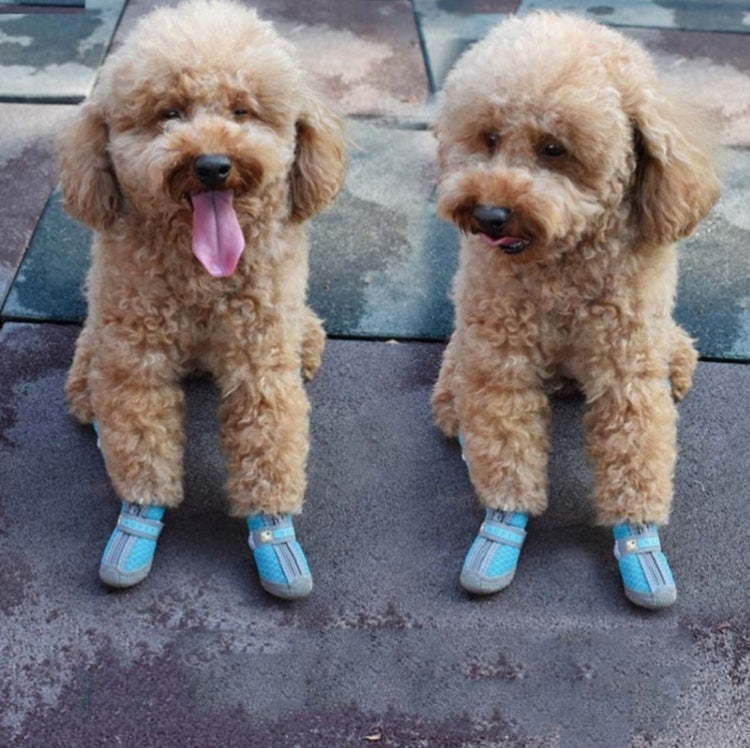HCPET A1703 Copriscarpe antiscivolo resistenti all'usura per cuccioli, Number 1, Number 2, Number 3, Number 4, Number 5