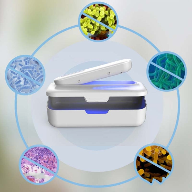 XD003 Scatola per la disinfezione della conservazione delle spazzole cosmetiche della macchina per la sterilizzazione UV della biancheria intima, XD003 White, XD003 Pink