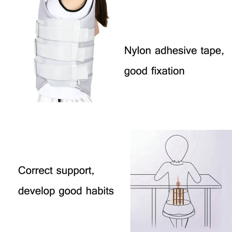 Attrezzatura protettiva a cinghia per fissaggio toracolombare con airbag, Regular Style S, Regular Style M, Regular Style L, Regular Style XL, Mesh Style S, Mesh Style M, Mesh Style L, Mesh Style XL