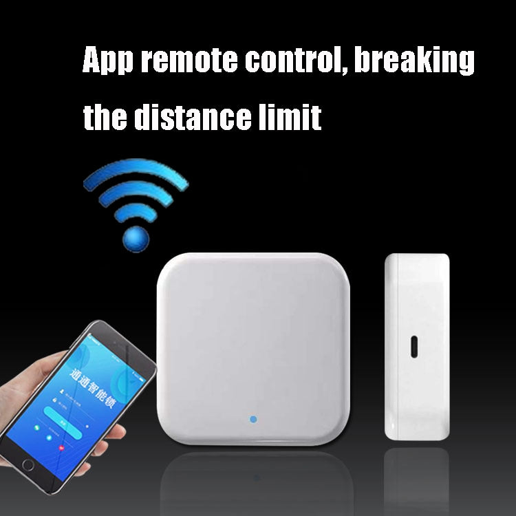 Gateway WiFi intelligente per serrature smart G2 2.4G