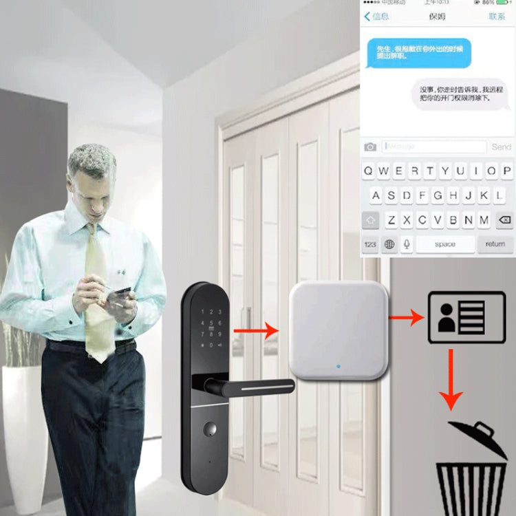 Gateway WiFi intelligente per serrature smart G2 2.4G