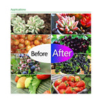 Luce per piante a LED ultrasottile, luce per la crescita COB a spettro completo, luce di riempimento per serra per verdure, frutta e fiori senza spina, 50W, 100W, 150W