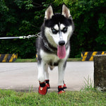 Scarpe per animali domestici antiscivolo resistenti all'usura HCPET Scarpe per cani traspiranti per quattro stagioni, 1, 2, 3, 4, 5, 6, 7, 8