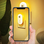 Lampada da parete a LED con presa per camera da letto, timer dimmerabile con telecomando, spina CN, Dual-USB, Regular