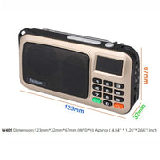 Rolton W405 Mini radio FM portatile con lettore USB/TF