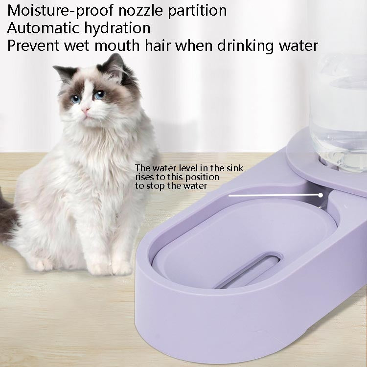 Forniture per animali domestici Ciotola per cibo per cani e gatti Ciotola doppia rotante pieghevole, Green Without Bowl, Purple Without Bowl, Pink Without Bowl, Gray Without Bowl, Green With Bowl, Purple With Bowl, Pink With Bowl, Gray With Bowl