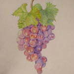 Matite colorate per disegno oleoso in scatola di latta da 72 colori, 72-Color Pencils