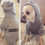 Abbigliamento maglione per cani da compagnia Teddy con cappuccio in pile autunno-inverno, XS, S, M, L