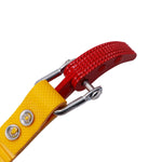 Chiave universale per cintura per purificatore d'acqua da 3 pezzi, 8 Inch, 12 Inch