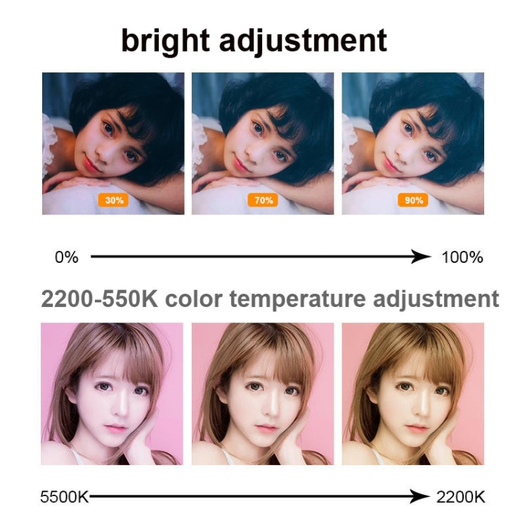 Luce a clip LED 6 pollici con temperatura colore regolabile