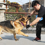Bastoncino per morso di canapa per addestramento del cane Bastoncino per morso di cane Forniture per addestramento per cani, A1, A2, A3, A4, A5
