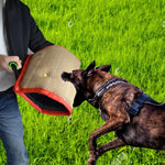 Manicotto addestramento cani in iuta 45x25 cm