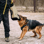 Protezione manica in juta per addestramento cani 52x32 cm