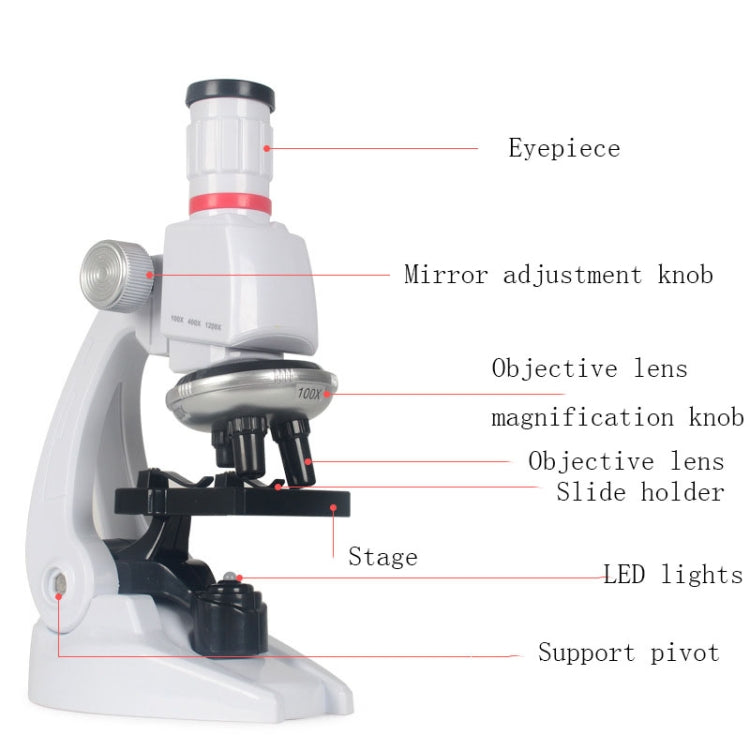 Set giocattoli scienza microscopio 1200X per bambini
