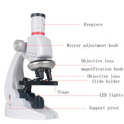 Set di giocattoli per scienza ed educazione al microscopio 1200X per scienze biologiche per la prima educazione per bambini, S, L