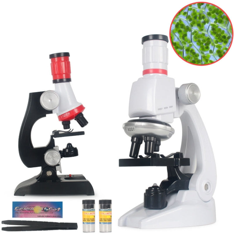 Set giocattoli scienza microscopio 1200X per bambini