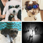 Occhiali per cani Occhiali da sole Occhiali per animali domestici