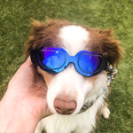 Occhiali per cani Occhiali da sole Occhiali per animali domestici