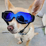 Occhiali per cani Occhiali da sole Occhiali per animali domestici