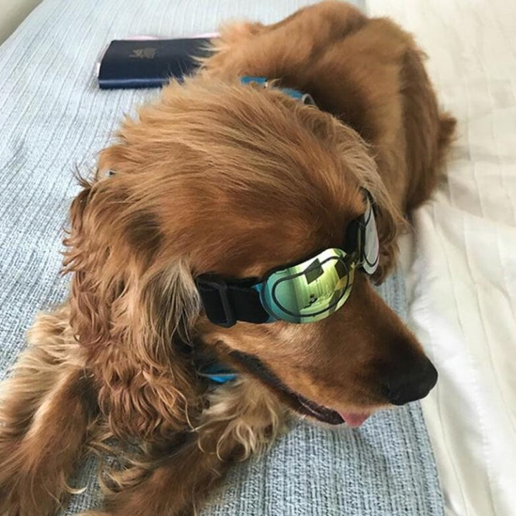 Occhiali per cani Occhiali da sole Occhiali per animali domestici