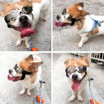 Occhiali per cani Occhiali da sole Occhiali per animali domestici