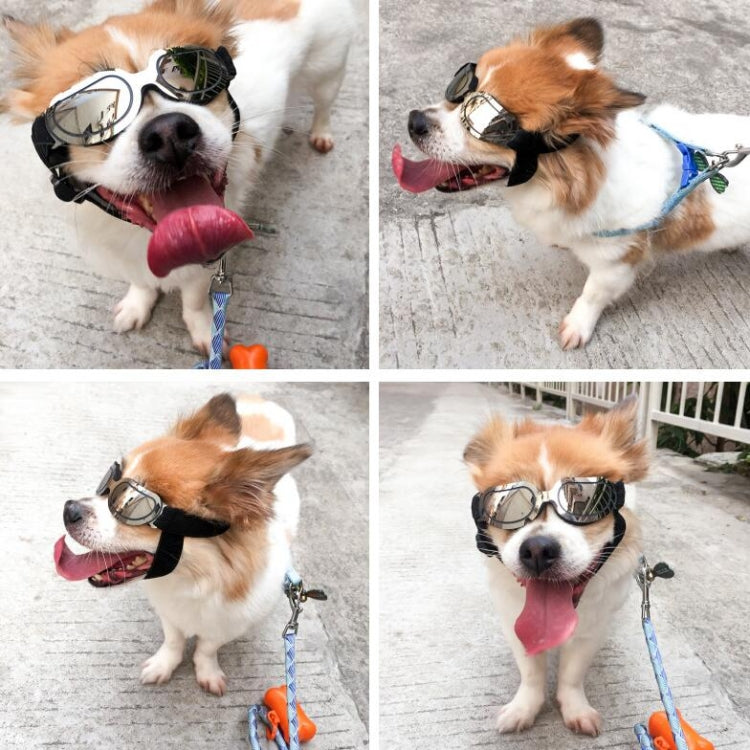 Occhiali per cani Occhiali da sole Occhiali per animali domestici