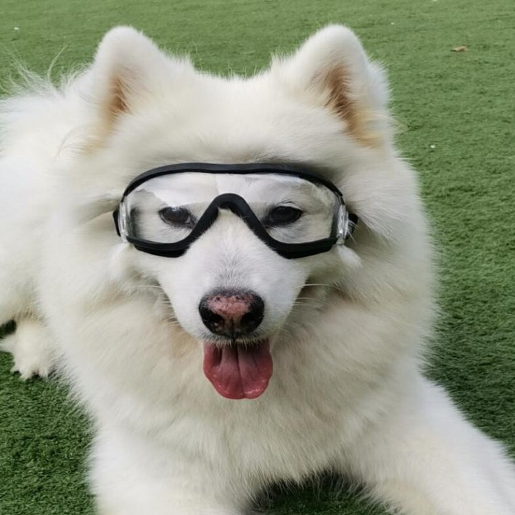 Occhiali per animali domestici Occhiali trasparenti per cani Occhiali per cani antivento impermeabili e anti-neve, Transparent Glasses