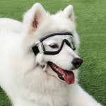 Occhiali per animali domestici Occhiali trasparenti per cani Occhiali per cani antivento impermeabili e anti-neve, Transparent Glasses