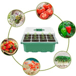 11 pezzi / set di attrezzi per la coltivazione di piantine di piante da giardinaggio, Plant Seedling Cultivation Tools