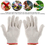 11 pezzi / set di attrezzi per la coltivazione di piantine di piante da giardinaggio, Plant Seedling Cultivation Tools