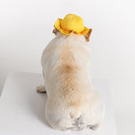 Cappello estivo per cani e gatti taglia S e M