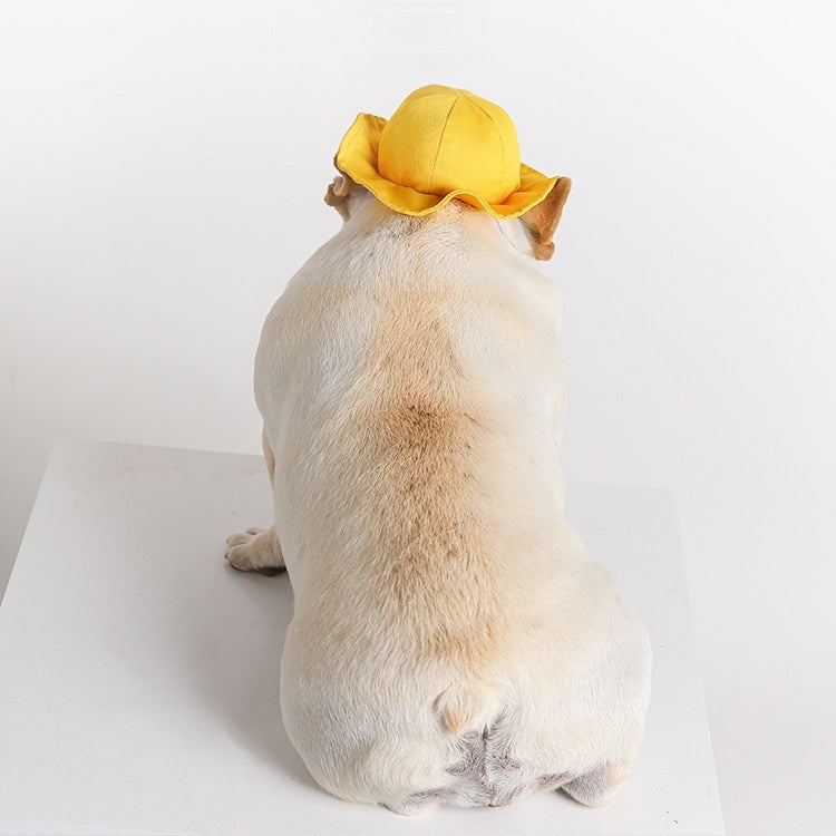 Cappello estivo per cani e gatti taglia S e M