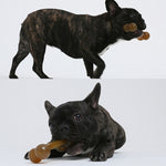 Giocattolo per morso di cane per la pulizia del bastoncino molare per cani in nylon PU, Large Double Head Arched Bone, Small Double Bone, Large Double Bone, Small Arched Bone, Large Arched Bone
