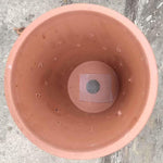 4 set GD01 Guarnizione in rete a rete anti-perdite anti-insetto con rete inferiore per vaso di fiori, Flower Pot Bottom Anti-Leakage Mesh Gasket