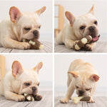 Denti molari in pelle bovina in nylon resistente ai morsi per animali domestici che mangiano giochi per cani con ossa, Small (Steak), Large (Steak), Small  (Chicken Wings), Large (Chicken Wings), Small  (Chicken Leg), Large  (Chicken Leg), Small (Ring)...