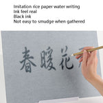 Pennello da scrittura Set per esercitazioni di calligrafia ad acqua Lavagna per scrittura ad acqua Panno per scrittura ad acqua riutilizzabile, A4, A3