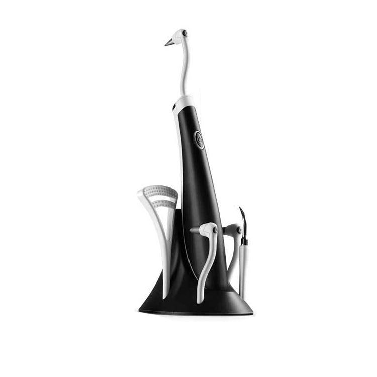 2319-S-51 Strumento per la pulizia dentale portatile per scaler sonico domestico, White, Blue Black