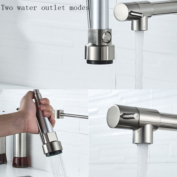 Rubinetto per acqua calda e fredda da cucina girevole con rubinetto a molla a doppia uscita spazzolato in rame e nichel, Brushed Silver