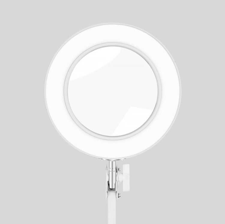 USB Desktop LED Ring Light Welding Ausiliario Lampada da scrivania con illuminazione a lente d'ingrandimento, USB (White)