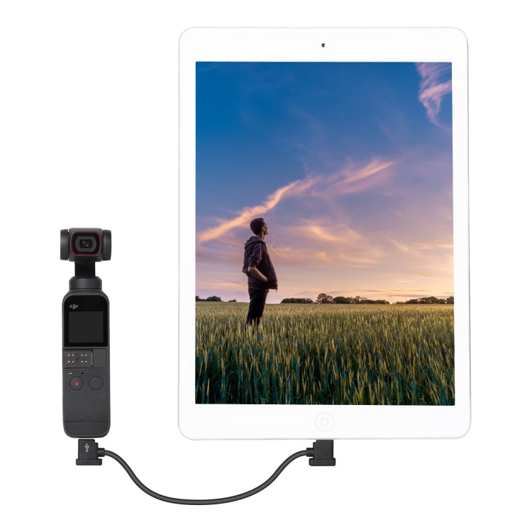 Sunnylife TY-X9304 Adatto per DJI Mavic Air 2S / DJI FPV Occhiali da volo V2 / Mavic Mini2 / Osmo Pocket 2 Cavo tablet per telefono cellulare, 15cm Type-C to 8 Pin Cable, 15cm Type-C to Micro USB  Cable, 15cm Type-C to Type-C Cable                     ...